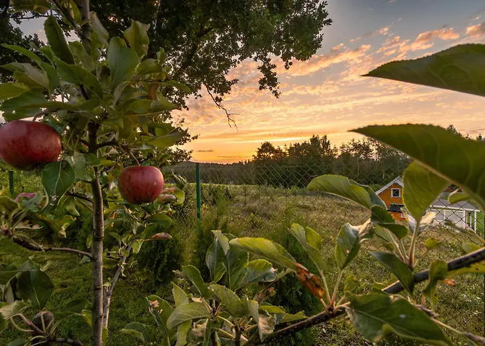 Pod Debem Sulęczyno